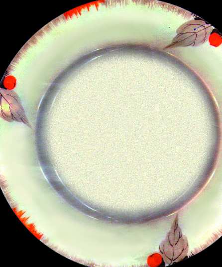 9485 Dinner Plate