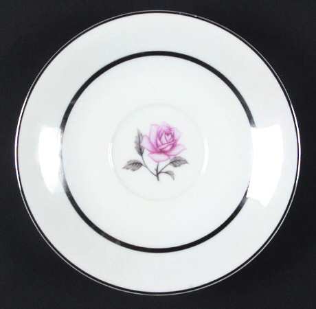 MOM6 Saucer