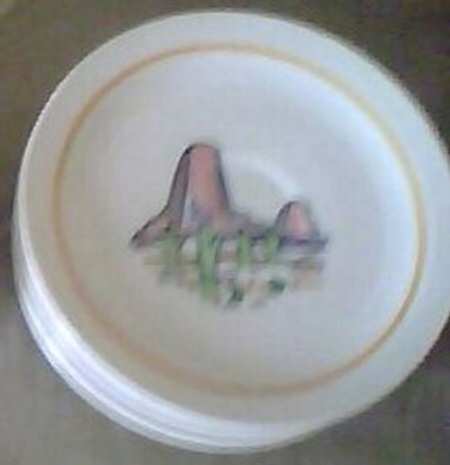 Native American Series Saucer for Footed Cup