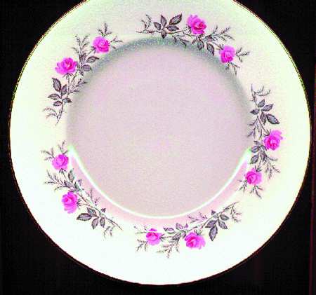 MYO33 Dinner Plate