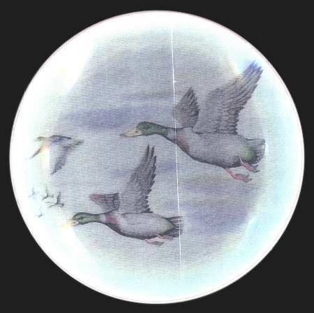 Mallards Salad Plate