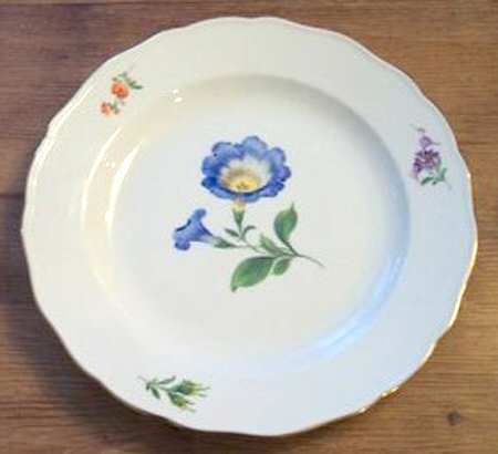 MSS40 Dinner Plate