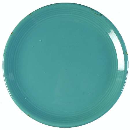 Color Connection Aqua Salad Plate