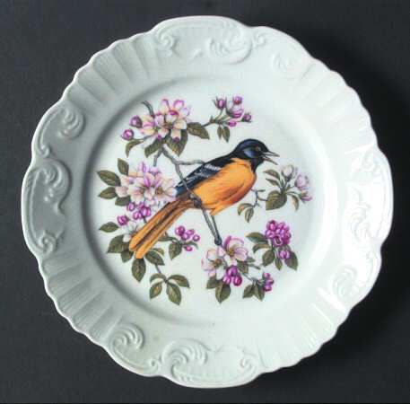 Song Birds of America by Mottahedeh