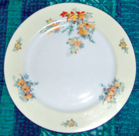 V779 Dinner Plate