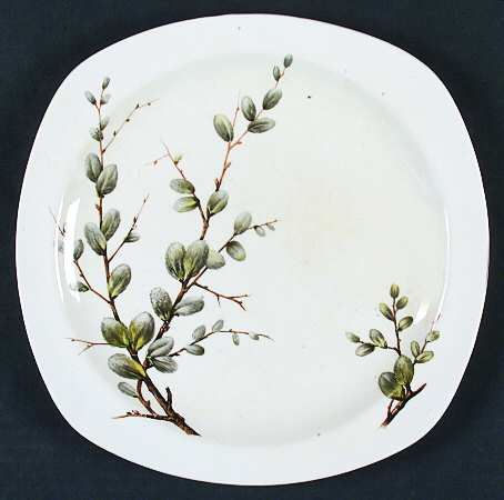 Pussy Willow by W R Midwinter Ltd