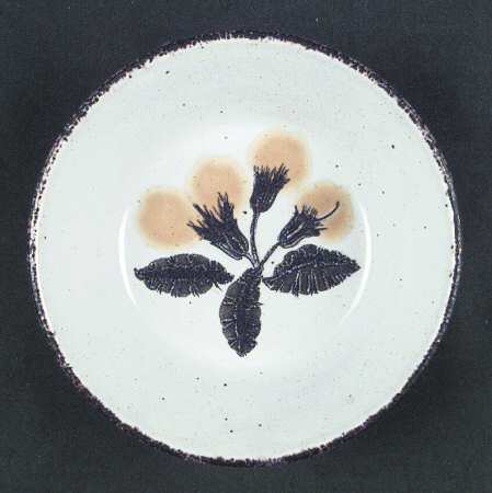 Primula by W R Midwinter Ltd