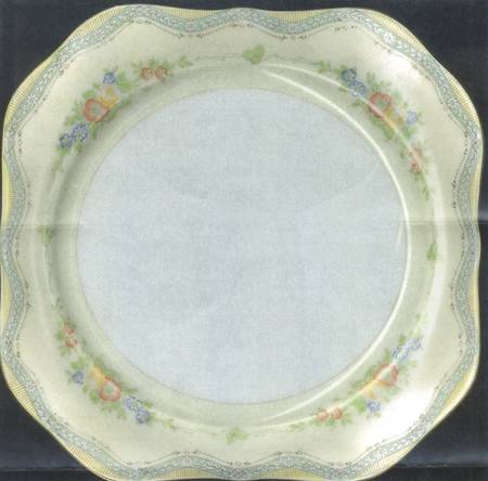 MEI711 Square Salad Plate