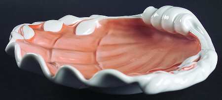 MOT26 Large Shell Shaped Dish