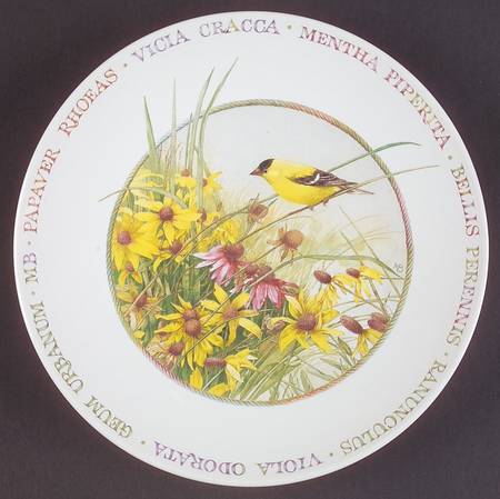 Wildflower Meadow Coupe Salad Plate