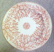M88 Salad Plate