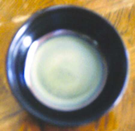 Village Potter Coupe Cereal Bowl