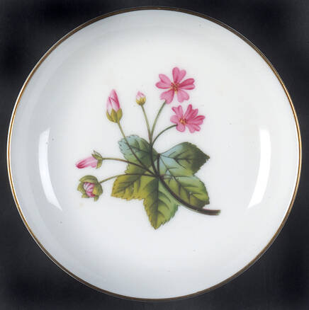 Malva Coaster