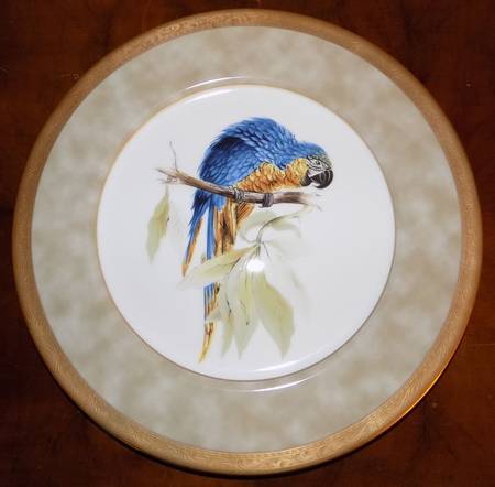 Crown Jewel Parrot by Mikasa