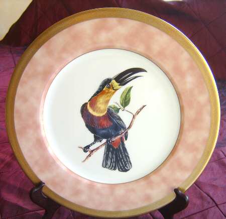 Crown Jewel Toucan by Mikasa