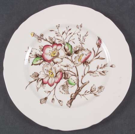 Wild Rose Brown Multicolor (Rim) by Alfred Meakin