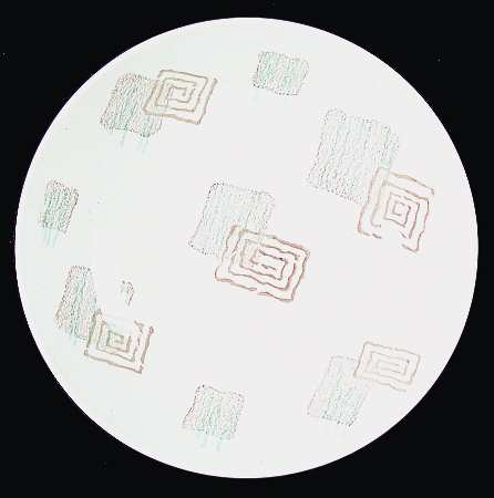 Terrace 9" Round Vegetable Bowl