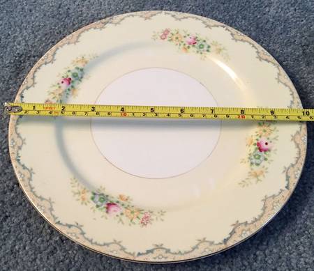 MSJ13 Dinner Plate