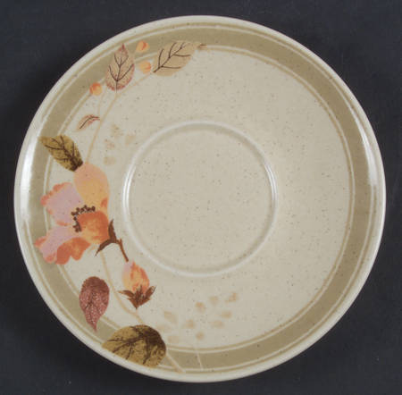 Big Sur Saucer by Mikasa