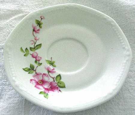 MIT171 Saucer