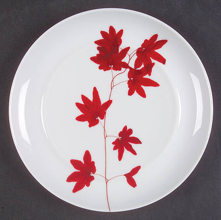 Pure Red Bread & Butter Plate