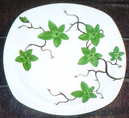 Cottage Ivy by W R Midwinter Ltd