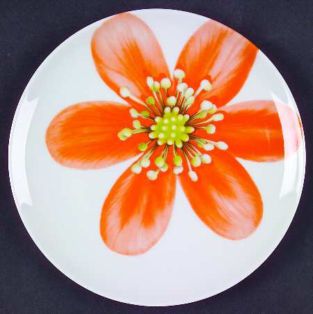 Spring Flowers Dessert/Pie Plate