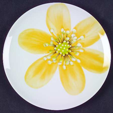 Spring Flowers Dessert/Pie Plate
