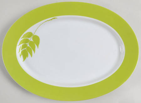 Thai Garden 14" Oval Serving Platter by Mikasa