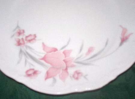 MIT229 Dinner Plate