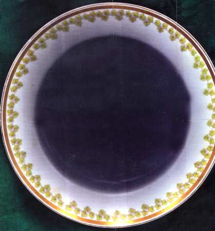 MUE139 Dinner Plate