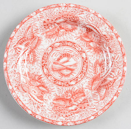 Coral Torquay Bread & Butter Plate