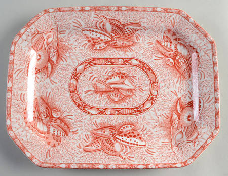 Coral Torquay 13" Oval Serving Platter