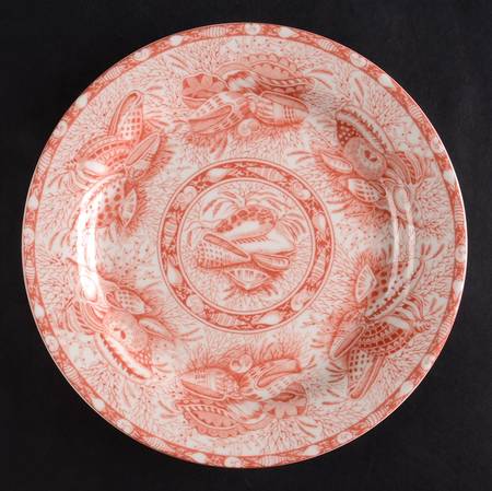 Coral Torquay Salad/Dessert Plate