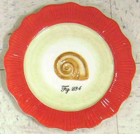 Out of the Shell by Manual Woodworkers