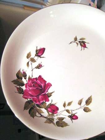 Velvet Rose by Alfred Meakin