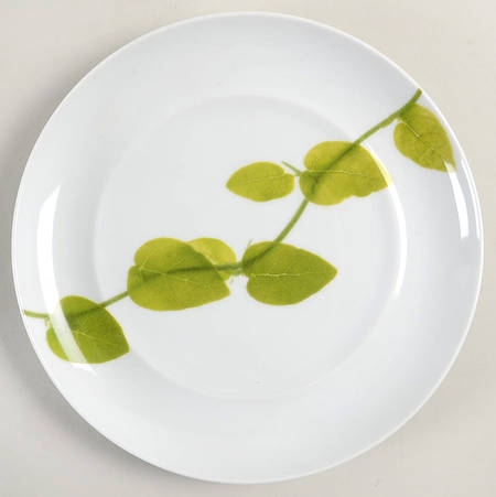 Daylight Salad Plate