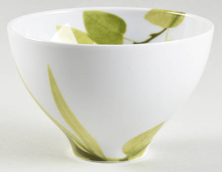 Daylight Rice Bowl