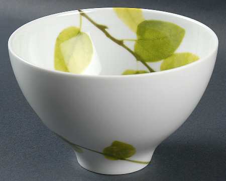 Daylight Rice Bowl