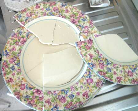 MYO137 Dinner Plate