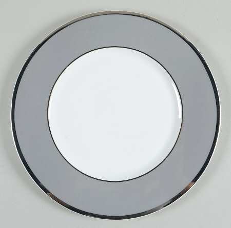 Color Studio Gray and Platinum Dinner Plate