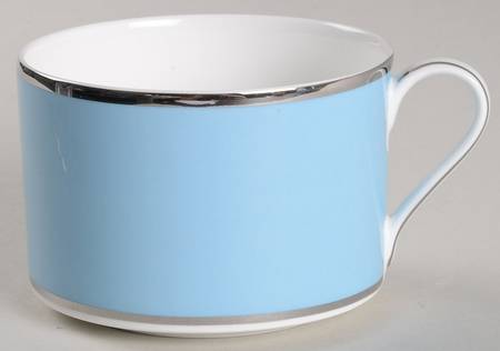 Color Studio Light Blue and Platinum Flat Cup