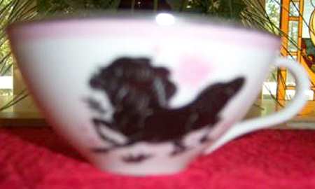 Celebrity of Hawaii Flat Cup