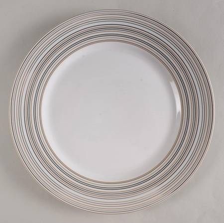 Microstripe Dinner Plate