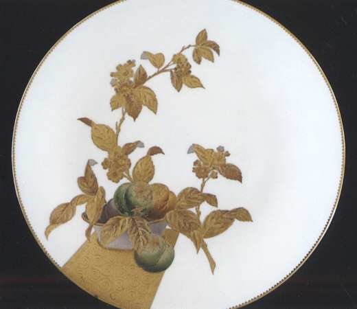 G4496 by Minton