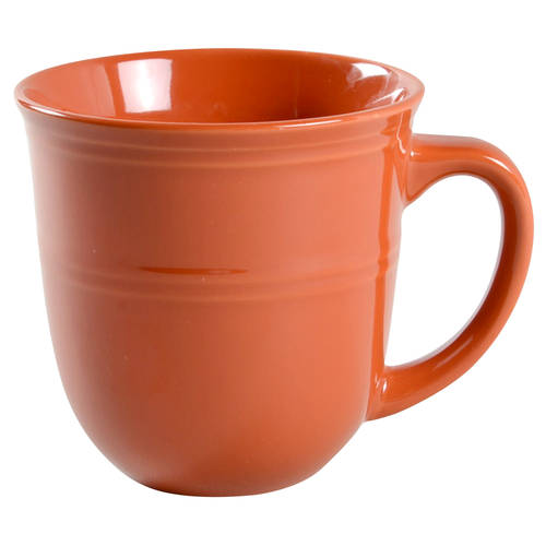 Orange Spice (Rainforest) Mug