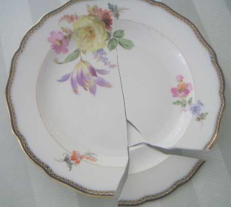 111120 Dinner Plate