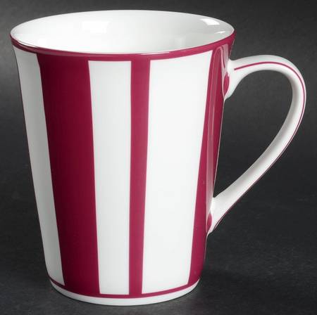 Color Studio Fuschia Accent Mug