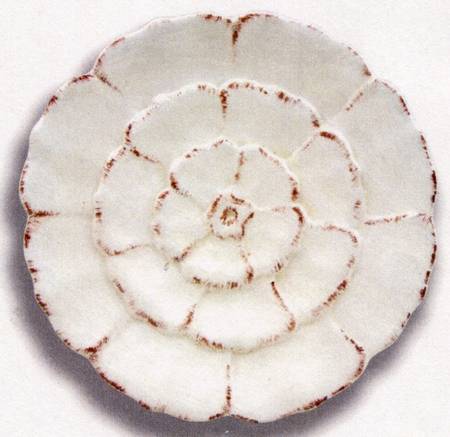 Cream Rustic Florals Salad Plate