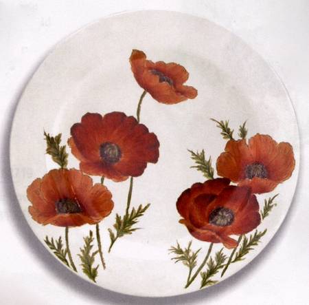 Cream Poppy Field by Maxcera Corp